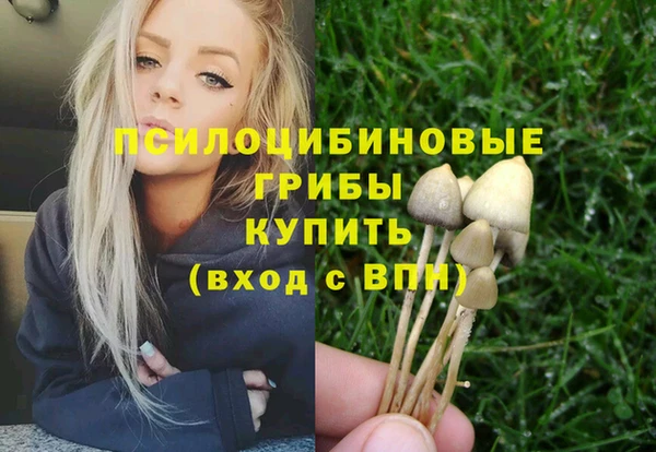 стаф Алексеевка
