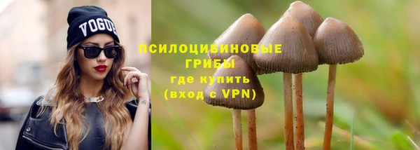 бошки Алзамай