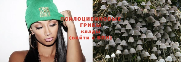 бошки Алексин