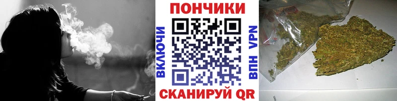 гидра ссылка  где купить наркоту  Камызяк  Марихуана ГИДРОПОН 